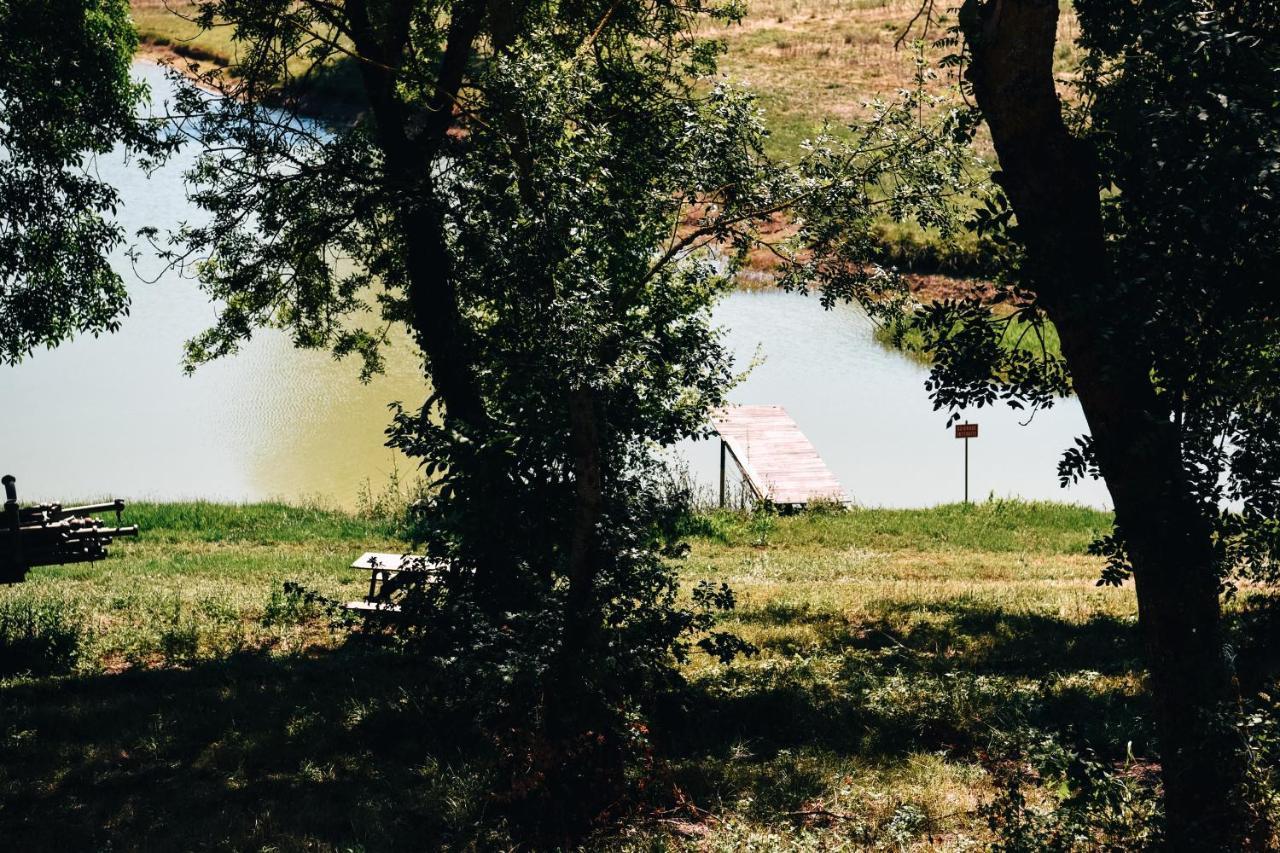 Maison De Campagne, Bord De Lac, Piscine, Billard 11 Per Plieux Luaran gambar
